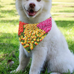 Tulip Field Print Over The Collar Dog Bandana