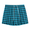 Turquoise And Black Check Pattern Print Mesh Shorts