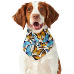 Turquoise And Orange Butterfly Print Dog Bandana