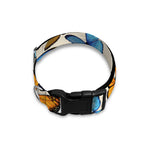 Turquoise And Orange Butterfly Print Dog Collar