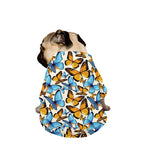 Turquoise And Orange Butterfly Print Dog Zip Up Jacket