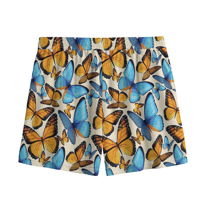 Turquoise And Orange Butterfly Print Mesh Shorts
