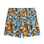 Turquoise And Orange Butterfly Print Mesh Shorts