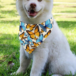 Turquoise And Orange Butterfly Print Over The Collar Dog Bandana