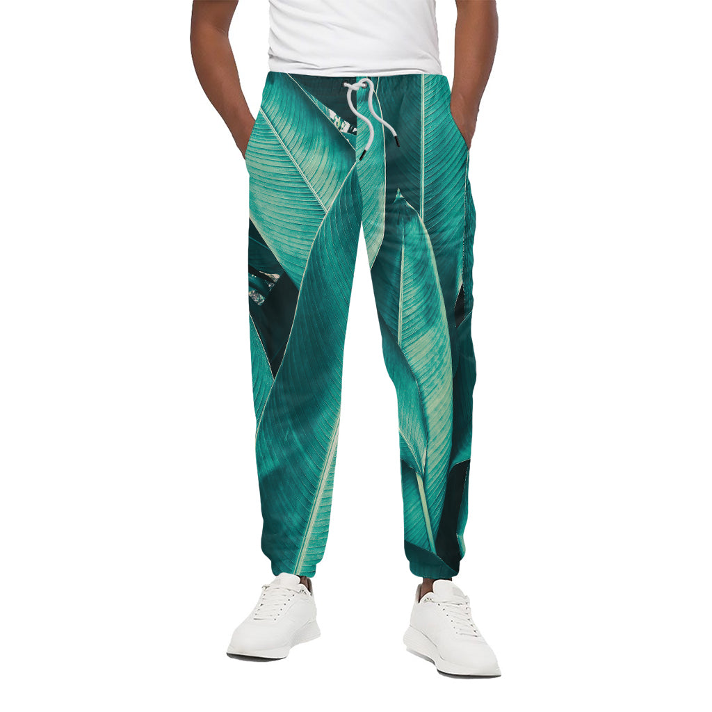 Turquoise Banana Leaf Print Cotton Pants