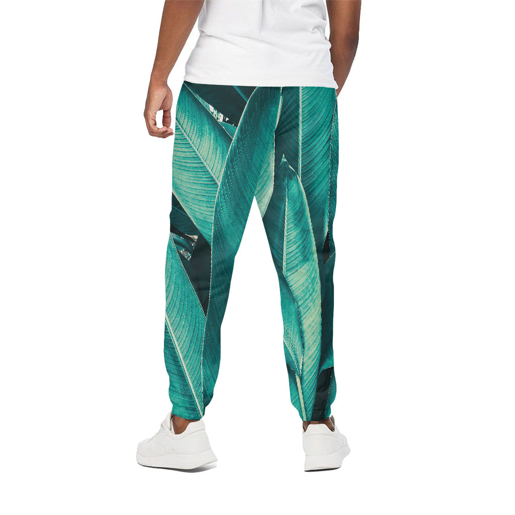 Turquoise Banana Leaf Print Cotton Pants