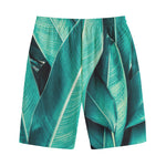 Turquoise Banana Leaf Print Cotton Shorts