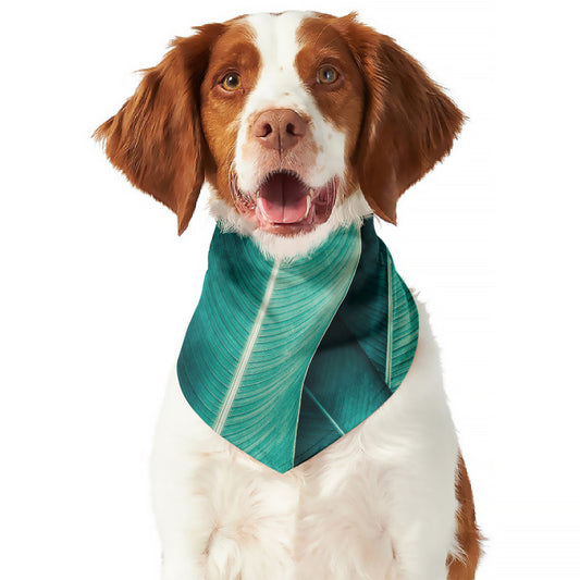 Turquoise Banana Leaf Print Dog Bandana