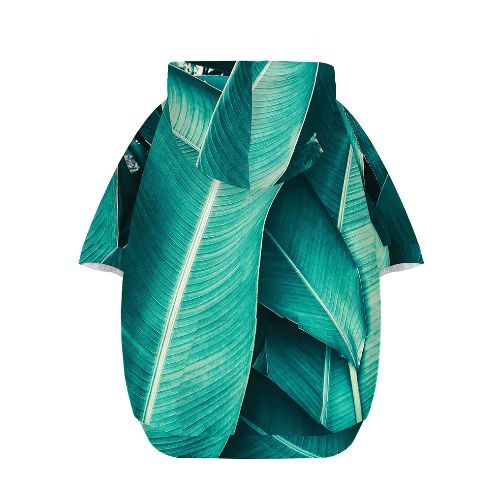 Turquoise Banana Leaf Print Dog Zip Up Hoodie