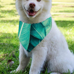 Turquoise Banana Leaf Print Over The Collar Dog Bandana