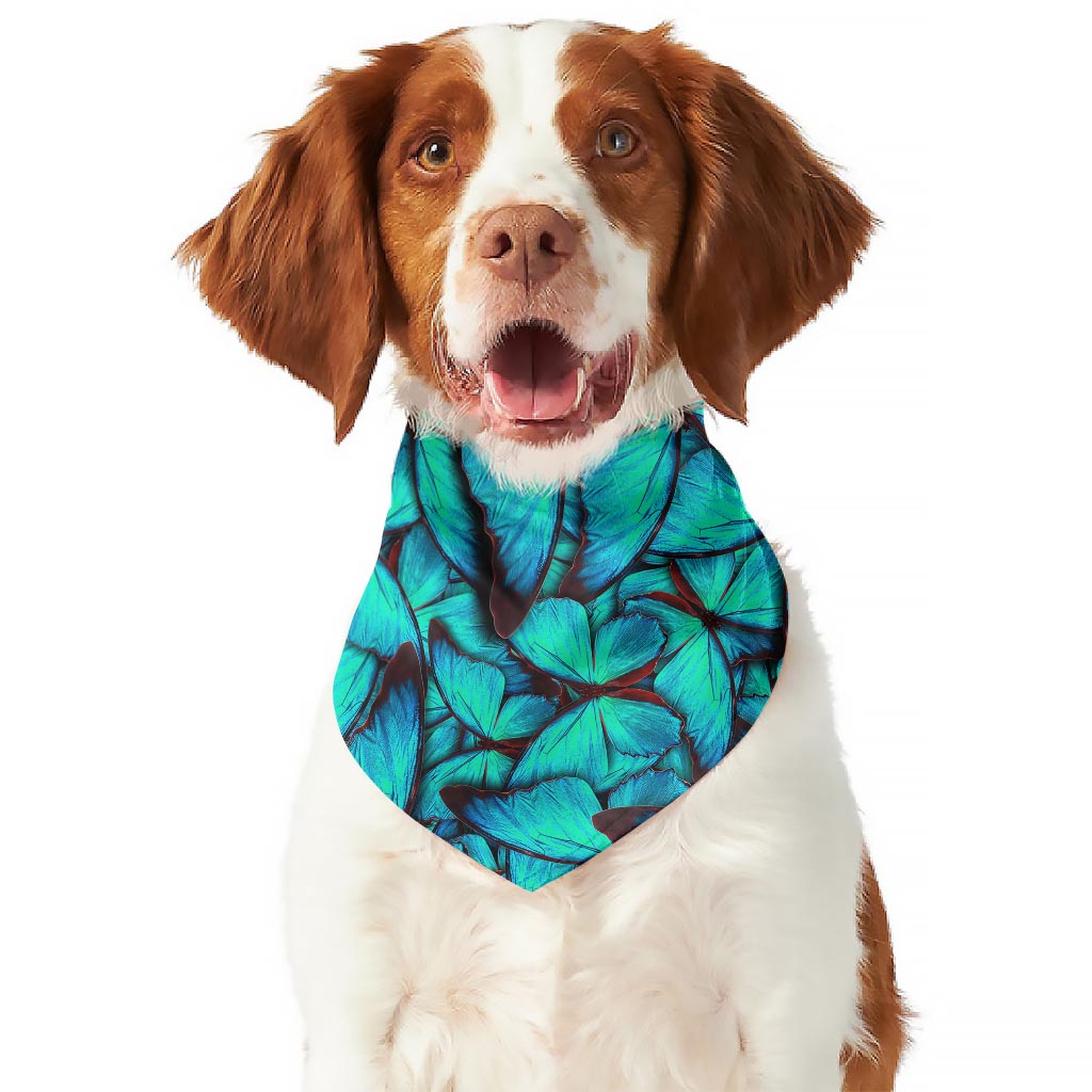 Turquoise Butterfly Pattern Print Dog Bandana