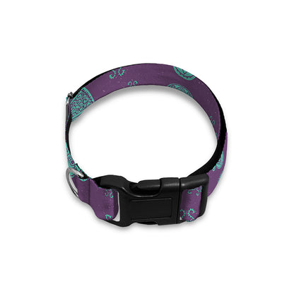 Turquoise Hamsa Pattern Print Dog Collar