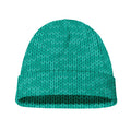 Turquoise Knitted Pattern Print Beanie