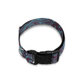 Turquoise Paisley Pattern Print Dog Collar