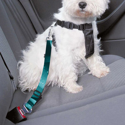 Turquoise Rose Flower Print Dog Seat Belt