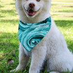 Turquoise Rose Flower Print Over The Collar Dog Bandana
