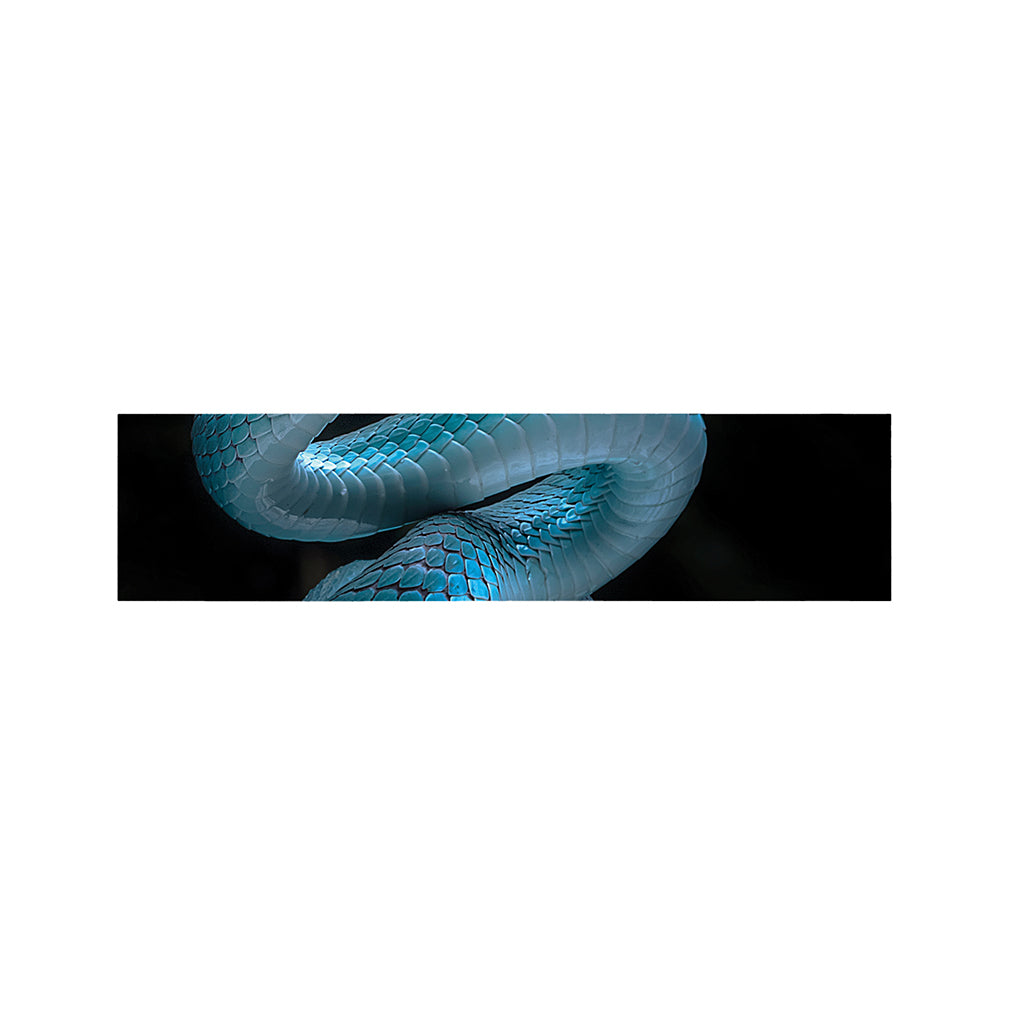 Turquoise Snake Print Bed Runner