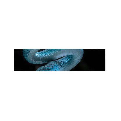 Turquoise Snake Print Bed Runner