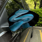 Turquoise Snake Print Car Side Mirror Covers