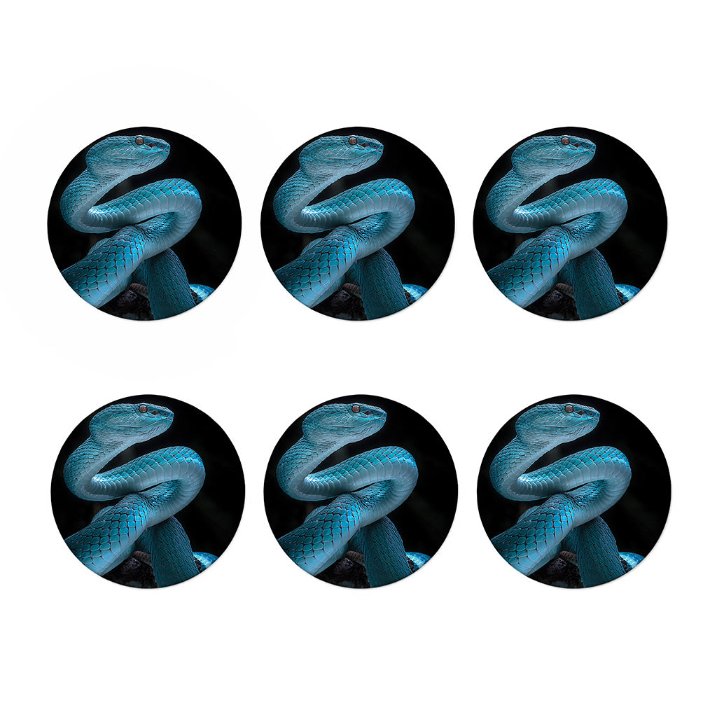 Turquoise Snake Print Coaster Set