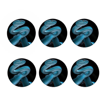 Turquoise Snake Print Coaster Set