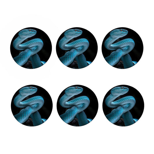 Turquoise Snake Print Coaster Set