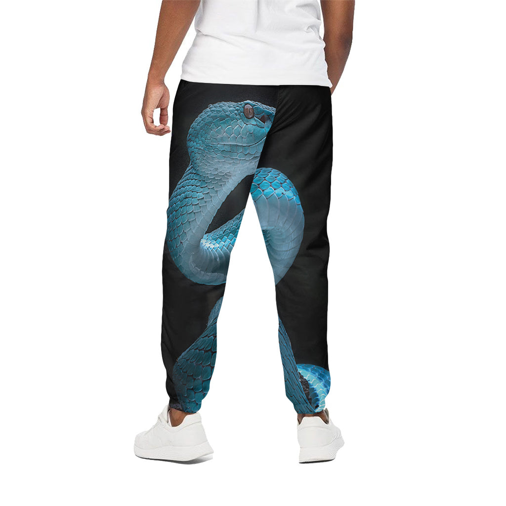 Turquoise Snake Print Cotton Pants