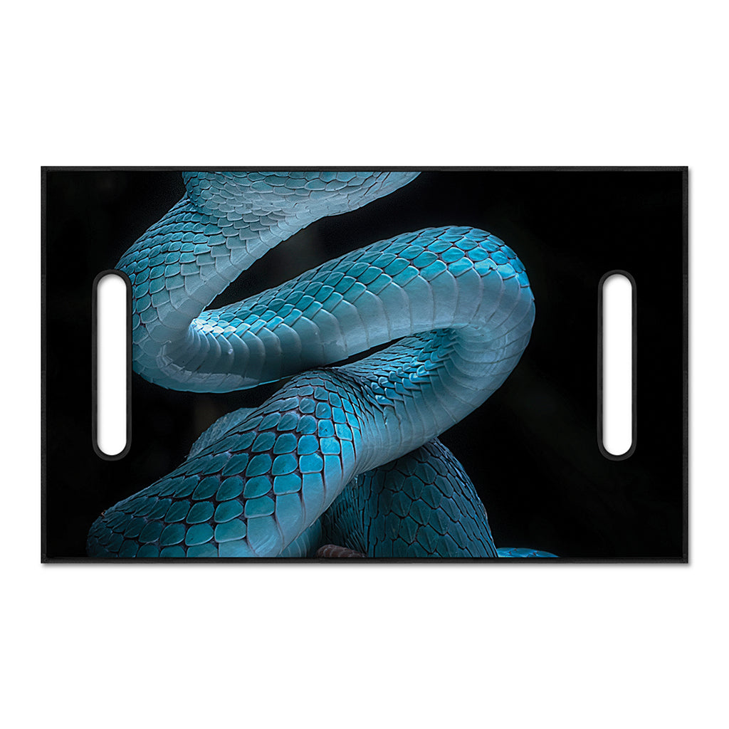 Turquoise Snake Print Golf Cart Seat Cover