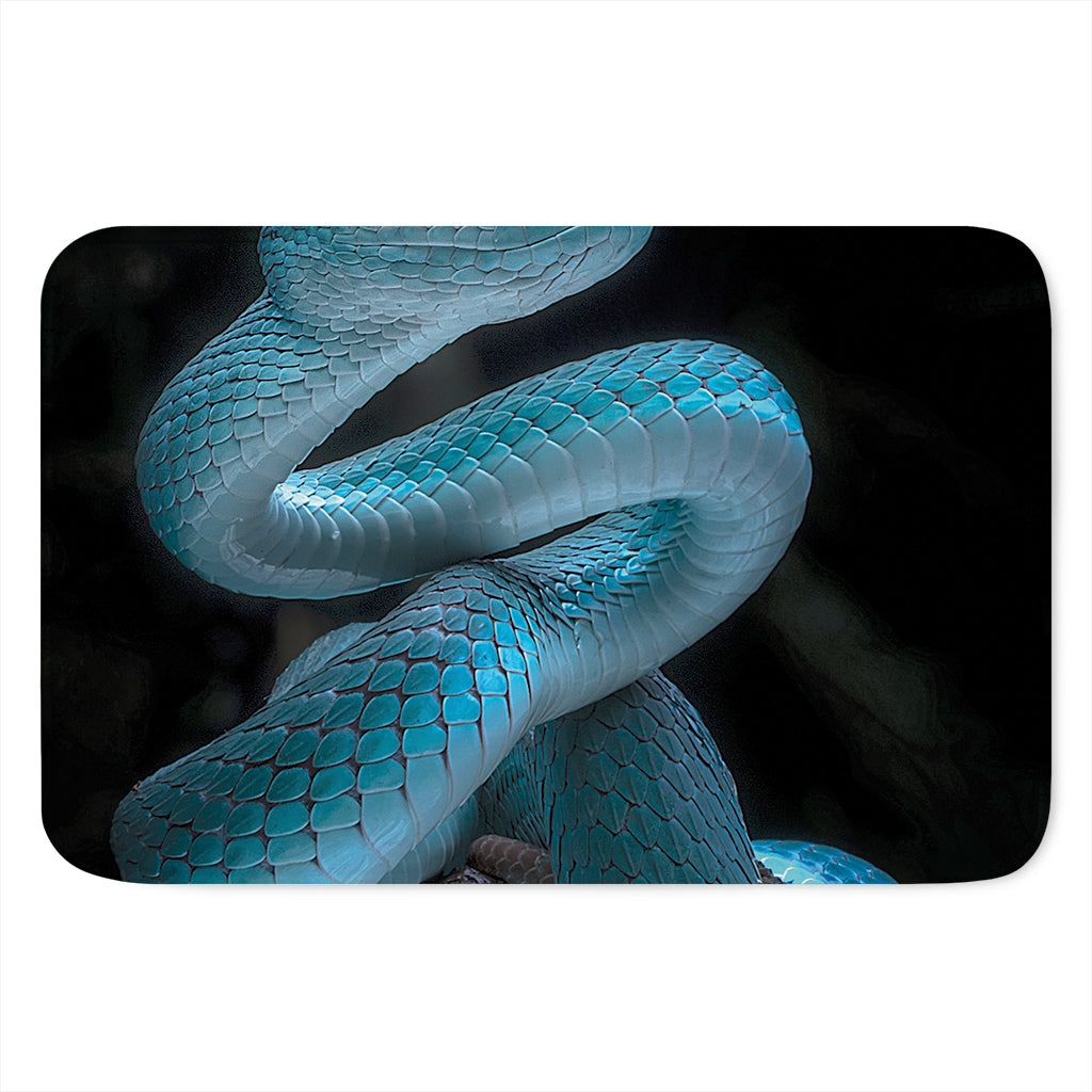 Turquoise Snake Print Indoor Door Mat