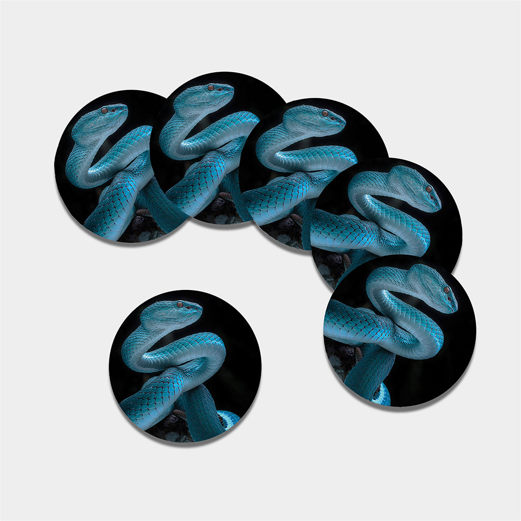 Turquoise Snake Print Leather Coaster Set