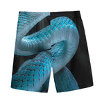 Turquoise Snake Print Men's Sports Shorts