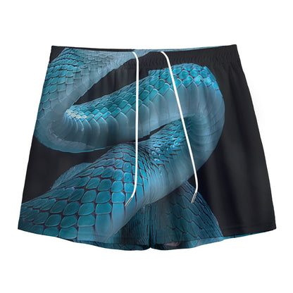 Turquoise Snake Print Mesh Shorts