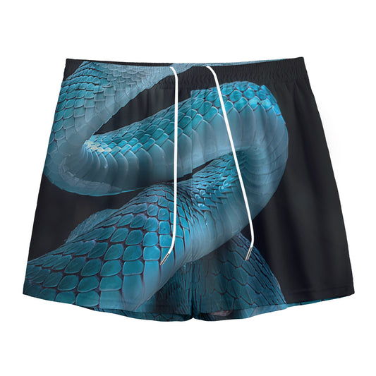 Turquoise Snake Print Mesh Shorts