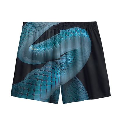 Turquoise Snake Print Mesh Shorts
