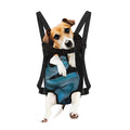 Turquoise Snake Print Pet Carrier Backpack