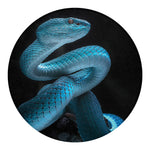 Turquoise Snake Print Round Blanket