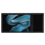 Turquoise Snake Print Trifold Wallet