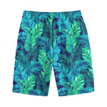 Turquoise Tropical Leaf Pattern Print Cotton Shorts