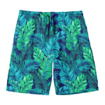 Turquoise Tropical Leaf Pattern Print Men's Swim Trunks