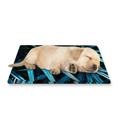 Turquoise Tropical Leaves Print Pet Cooling Mat Cover