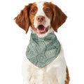 Turtle Shell Pattern Print Dog Bandana