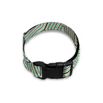Turtle Shell Pattern Print Dog Collar