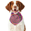 Twisted Colors Moving Optical Illusion Dog Bandana