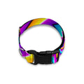 Twisted Spiral Moving Optical Illusion Dog Collar