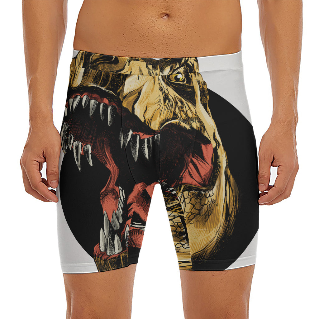 Tyrannosaurus Rex Head Print Men's Long Boxer Briefs