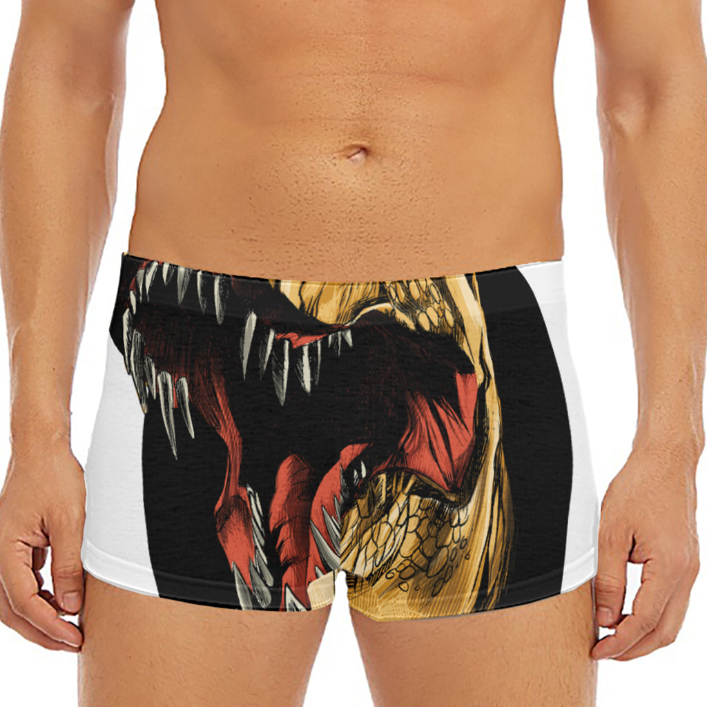 Tyrannosaurus Rex Head Print Men's Short Boxer Briefs