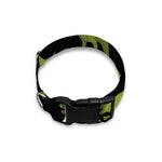 Tyrannosaurus Rex Pattern Print Dog Collar