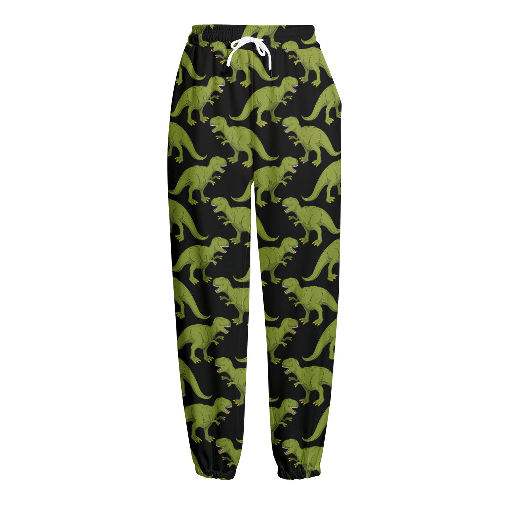 Tyrannosaurus Rex Pattern Print Fleece Lined Knit Pants