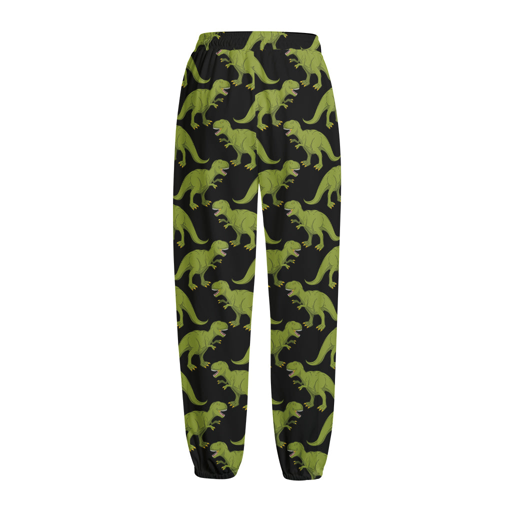 Tyrannosaurus Rex Pattern Print Fleece Lined Knit Pants
