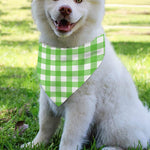 UFO Green And White Buffalo Check Print Over The Collar Dog Bandana